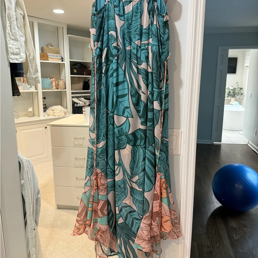 FARM Rio Ruffled Botanical Maxi Dress - Picture 4 of 4